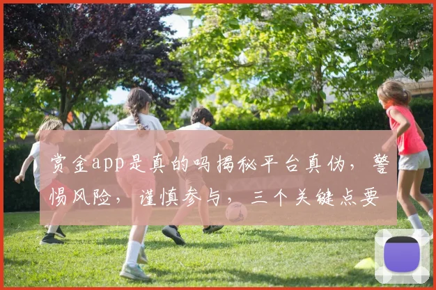 赏金app是真的吗揭秘平台真伪，警惕风险，谨慎参与，三个关键点要牢记。