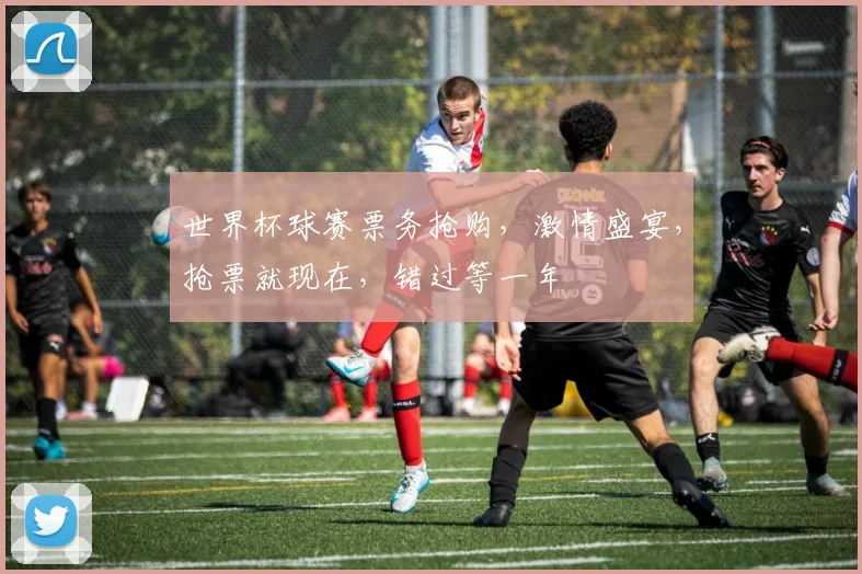 世界杯球赛票务抢购，激情盛宴，抢票就现在，错过等一年