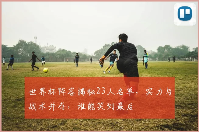 世界杯阵容揭秘23人名单，实力与战术并存，谁能笑到最后