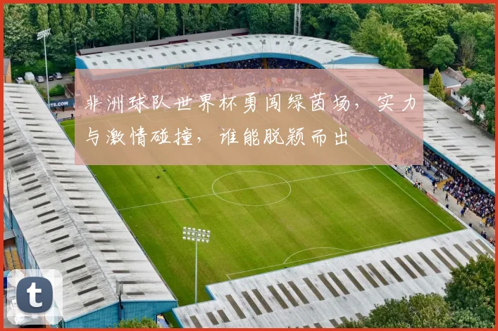 非洲球队世界杯勇闯绿茵场，实力与激情碰撞，谁能脱颖而出